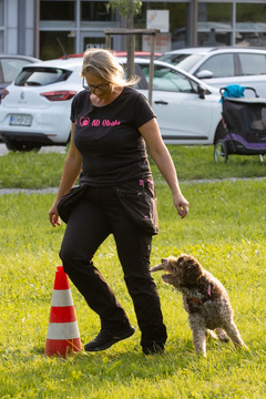 Pasji športni dan_6. 8. 2025 (16)